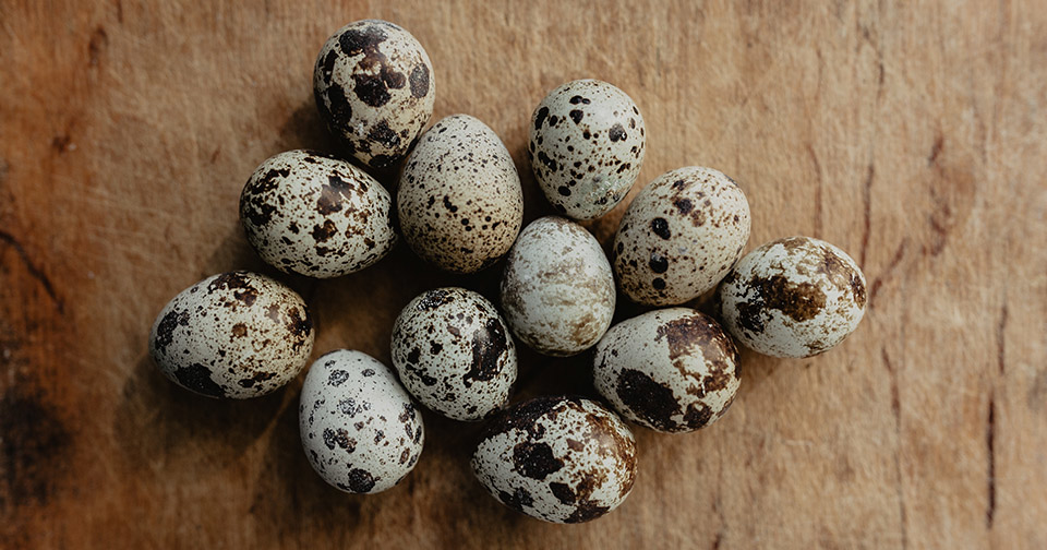 В каких продуктах есть холестерин? — The Village Казахстан